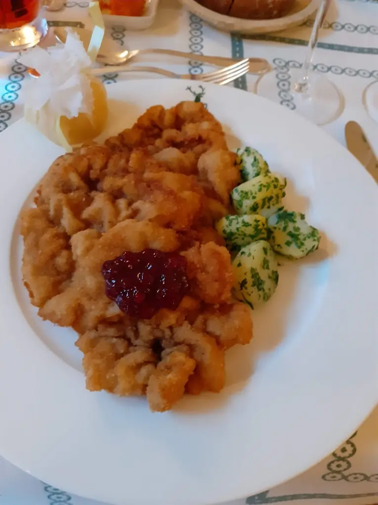 Austrian Food Schnitzel